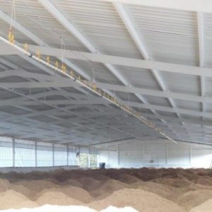 lamina-de-pvc-en-avicola-ounqg9q4eiemwfzom2aw76546r7pp55qlc1gnwlq5c