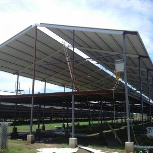 lamina-de-pvc-para-animales-ounqgfdaexs3a4efcs7c2g3bwfafmcn05ab256a98g