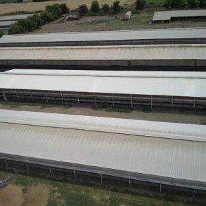 lamina-de-pvc-para-casetas-ounqgi6o40q7sxne8nyjbm09j820mf3bmhwtze96lc