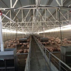 lamina-de-pvc-y-aislamiento-ounqgwa8yj9in32wyc1xv0g6g04itvnaofp46joa00